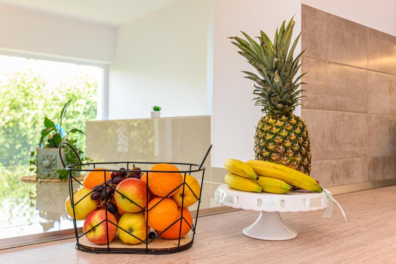 Orchard Villa 布拉索夫 外观 照片