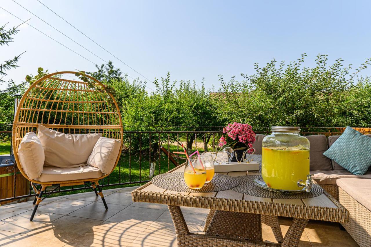 Orchard Villa 布拉索夫 外观 照片