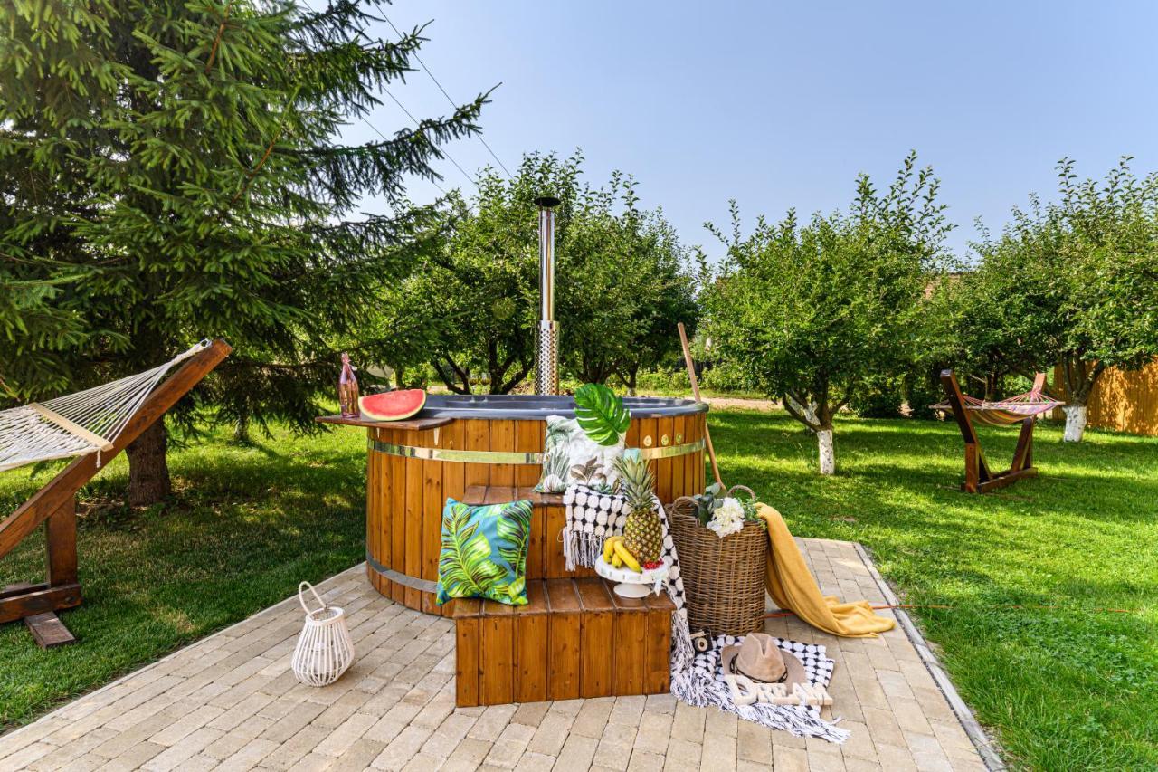 Orchard Villa 布拉索夫 外观 照片